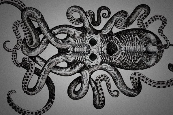 Kraken 25at