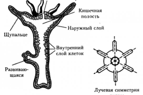 Kraken tor ссылка kraken014 com